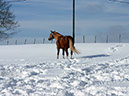 IMG_6406b
