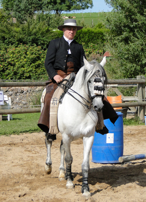 Matteo3
