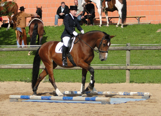 Tanja2