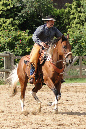 Helge3