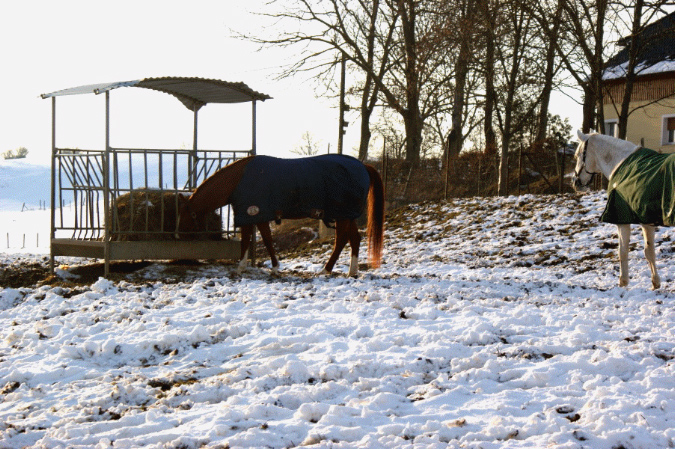 slideshow%20winter_Ebene%2019