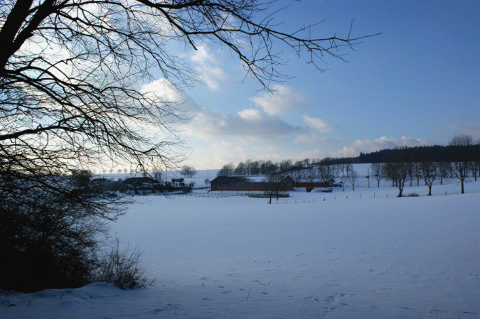 slideshow%20winter_Ebene%202