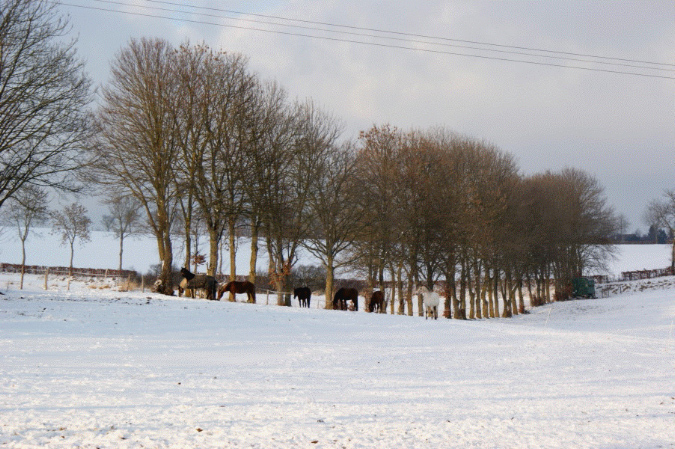 slideshow%20winter_Ebene%2020