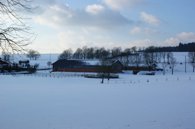 slideshow%20winter_Ebene%203