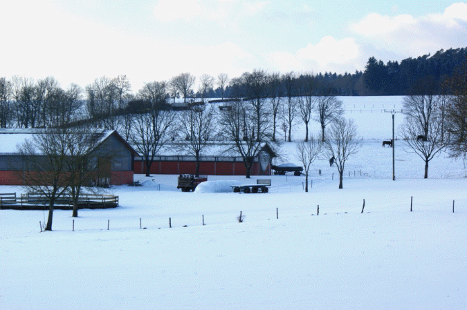 slideshow%20winter_Ebene%204