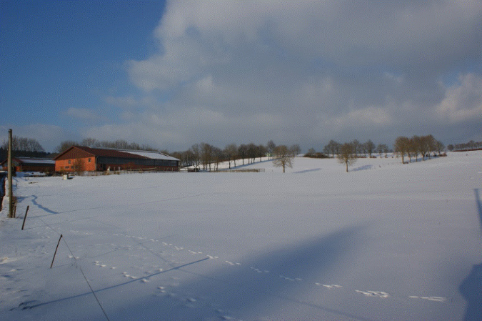 slideshow%20winter_Ebene%209