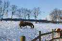 slideshow%20winter_Ebene%2010