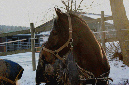 slideshow%20winter_Ebene%2014