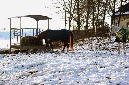slideshow%20winter_Ebene%2019
