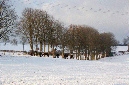 slideshow%20winter_Ebene%2020