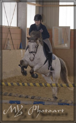 Springen2011