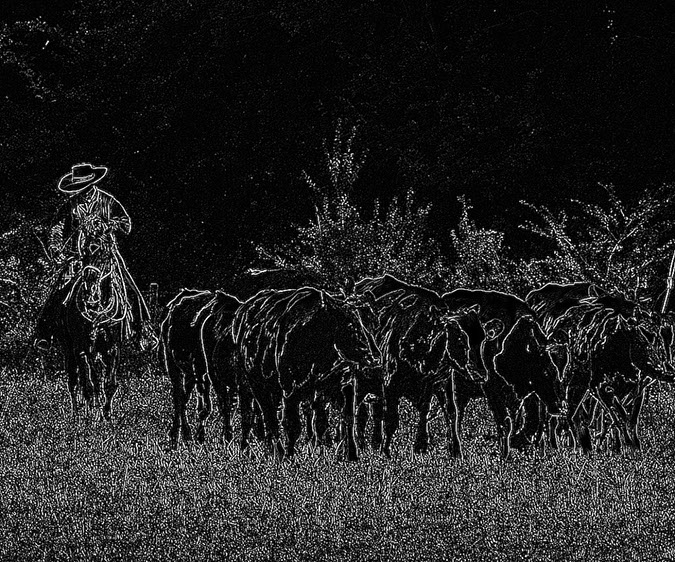 IMG_5615-2