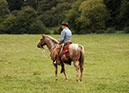 IMG_5454-2