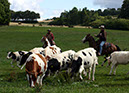 IMG_5509-1