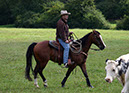 IMG_5519-1