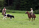 IMG_5535-1