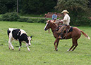 IMG_5543-1