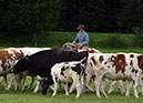 IMG_5551-1