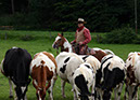 IMG_5564-1
