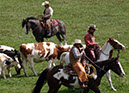 IMG_5575-1