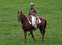 IMG_5584-1