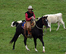 IMG_5587-2