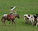 IMG_5592-1