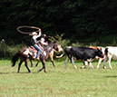IMG_5612-1