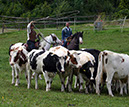IMG_5628-1