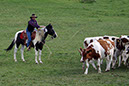 IMG_5733-1