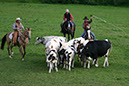 IMG_5740-1