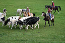 IMG_5741-1