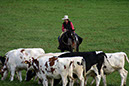 IMG_5742-1