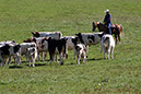 IMG_5751-1