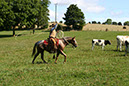 IMG_5794-1
