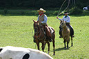 IMG_5823-1