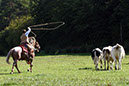 IMG_5835-1