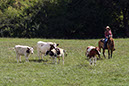 IMG_5872-1