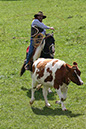 IMG_5925-1
