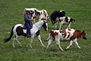 IMG_6034-1