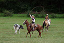 IMG_6062-1