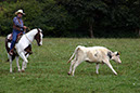 IMG_6090-1