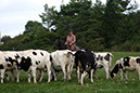IMG_6093-1