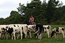 IMG_6094-1