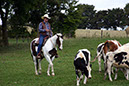 IMG_6107-1