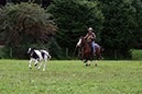 IMG_6156-1